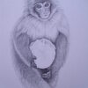 Snow Monkey 2